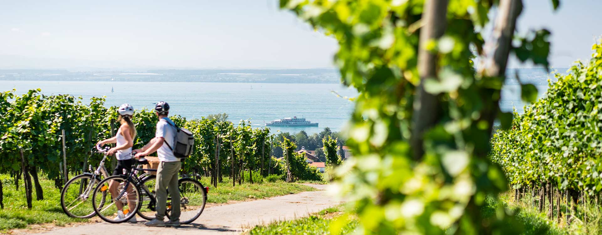 2 Radfahrer am asphaltierten Radweg im Weingarten blicken über den Bodensee im Hintergrund